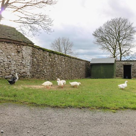 Vila Number 3 Hartington Exteriér fotografie